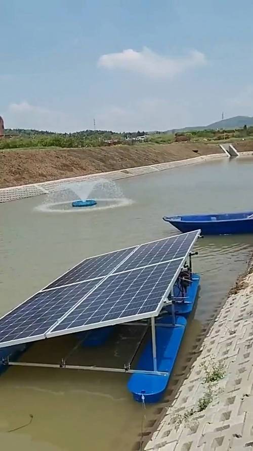 綠色動力，活水清源 太陽能噴泉曝氣機主流型號推薦指南